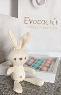Choco Rabbit Evocacion