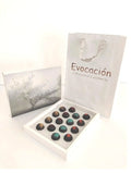 Colección Evocacion