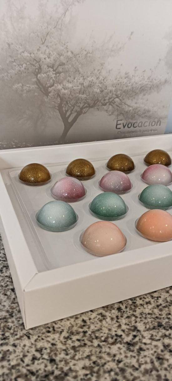 Colección Evocacion