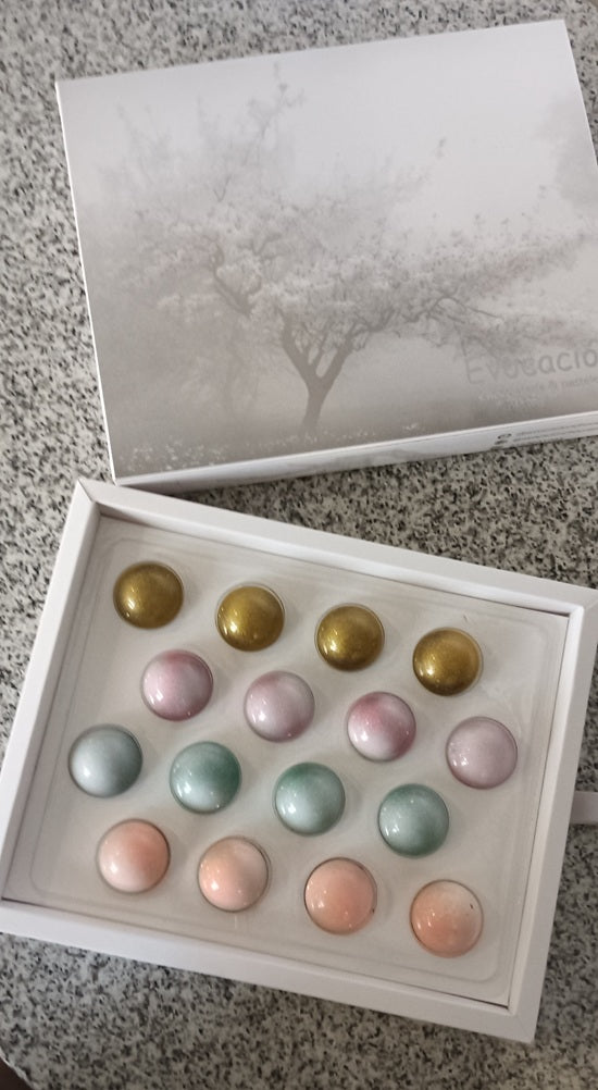 Colección Evocacion